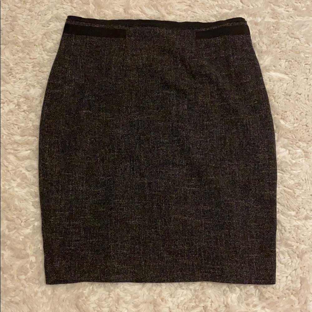 The Limited skirt